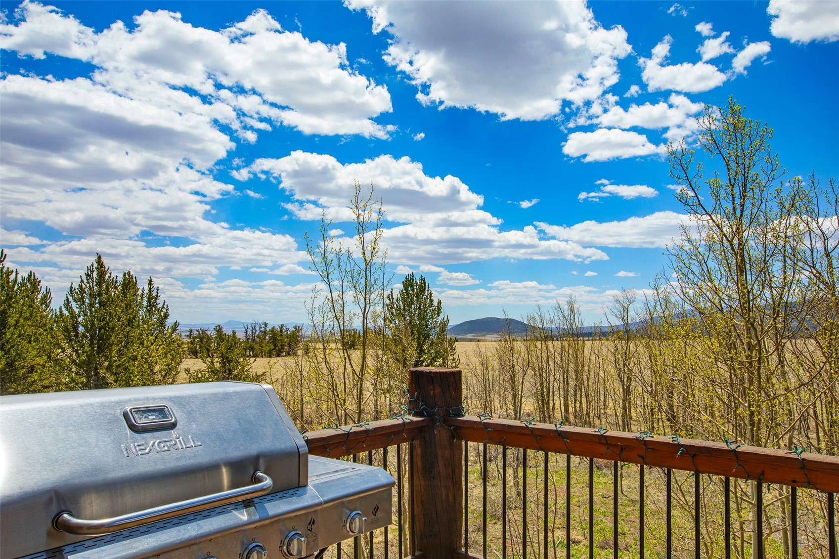 2649 Coil Dr Property Photo 45