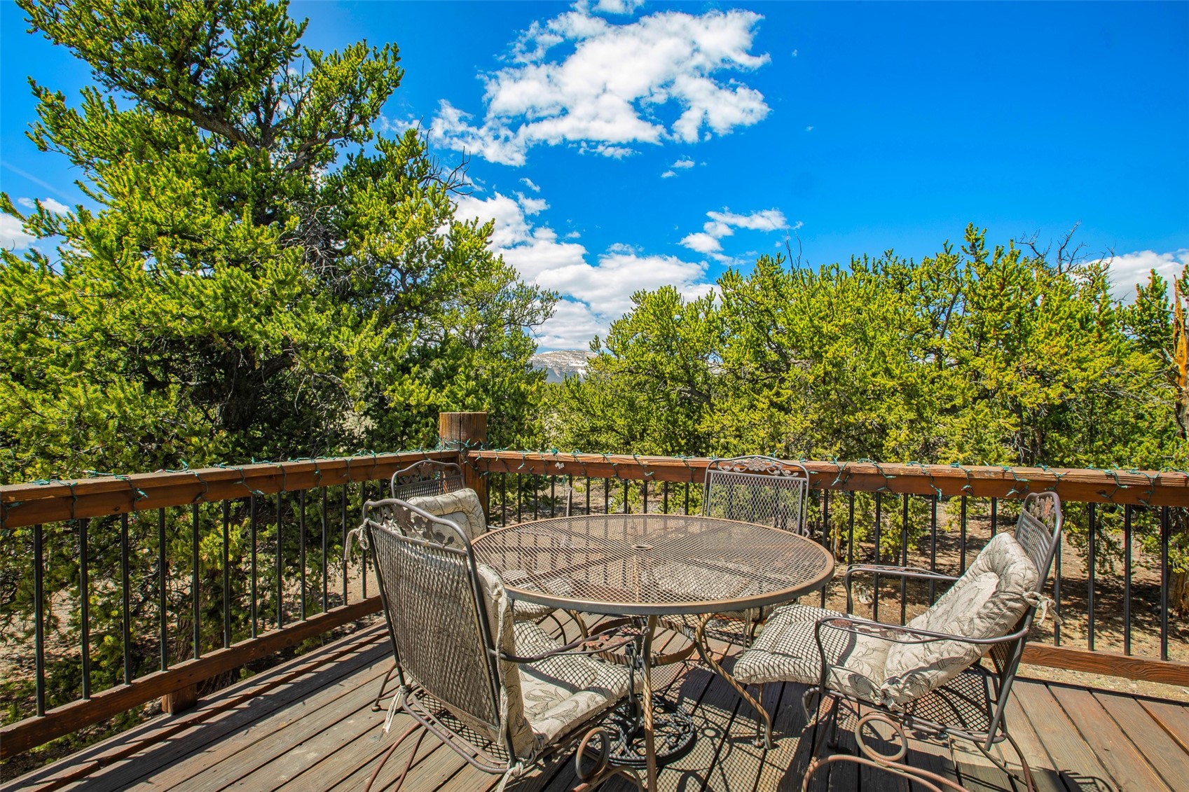 2649 Coil Dr Property Photo 46