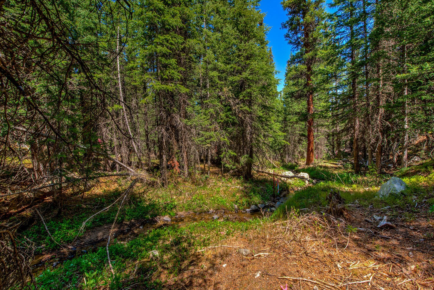 0307 Cr 674 Property Photo 10