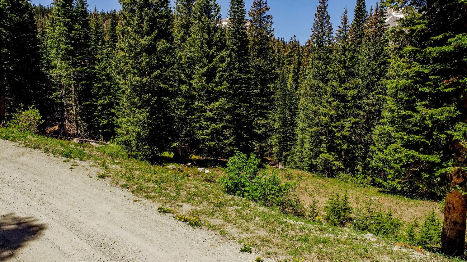 0307 Cr 674 Property Photo 14