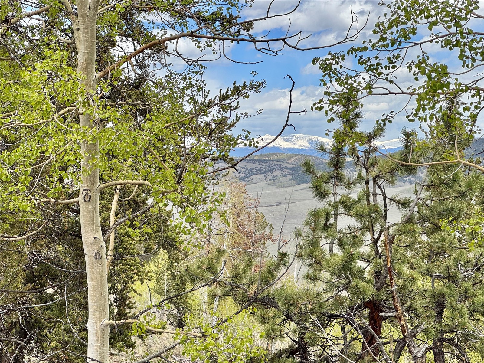 5544 Middle Fork Vista Property Photo 2