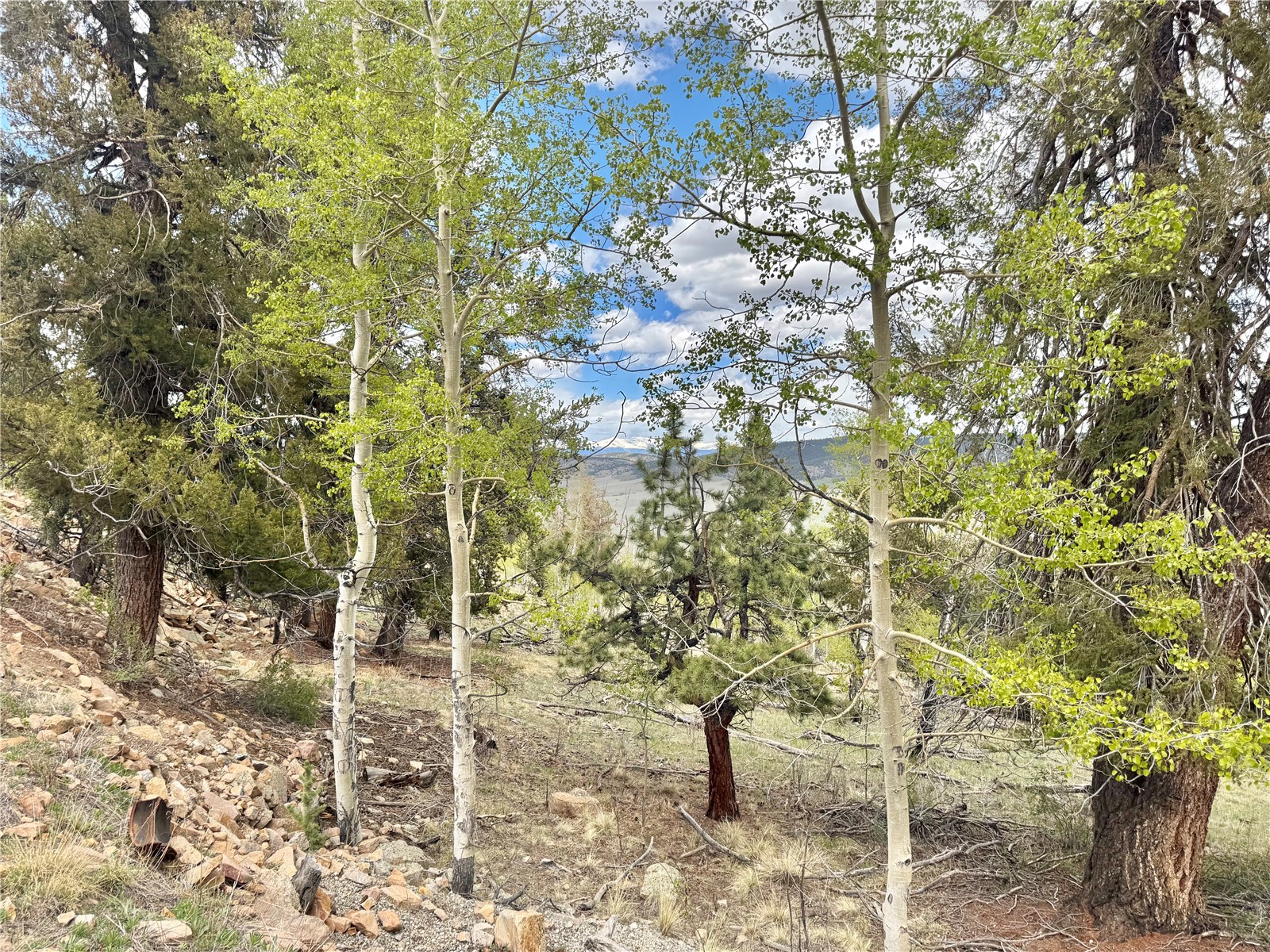 5544 Middle Fork Vista Property Photo 3