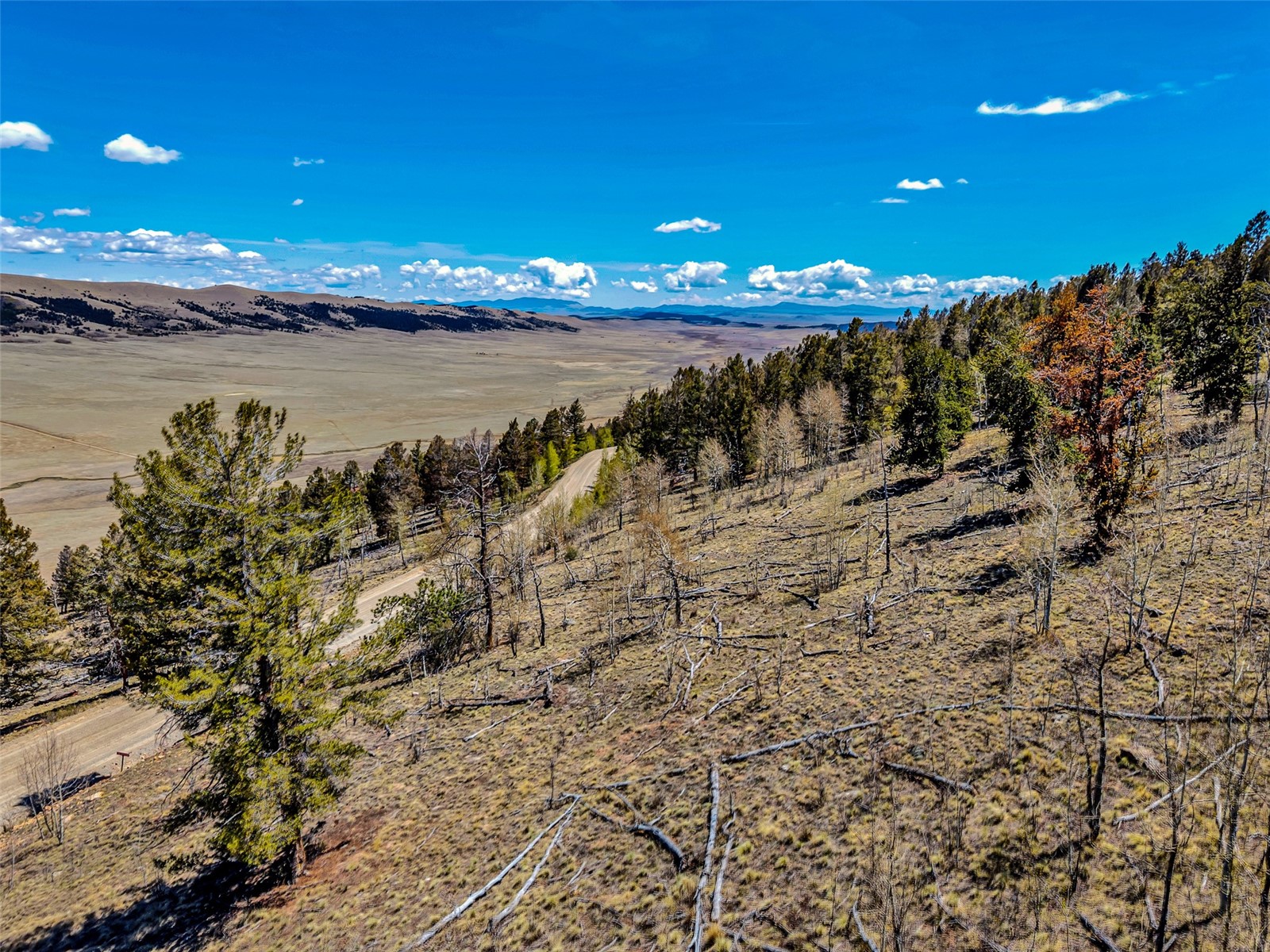 5544 Middle Fork Vista Property Photo 6