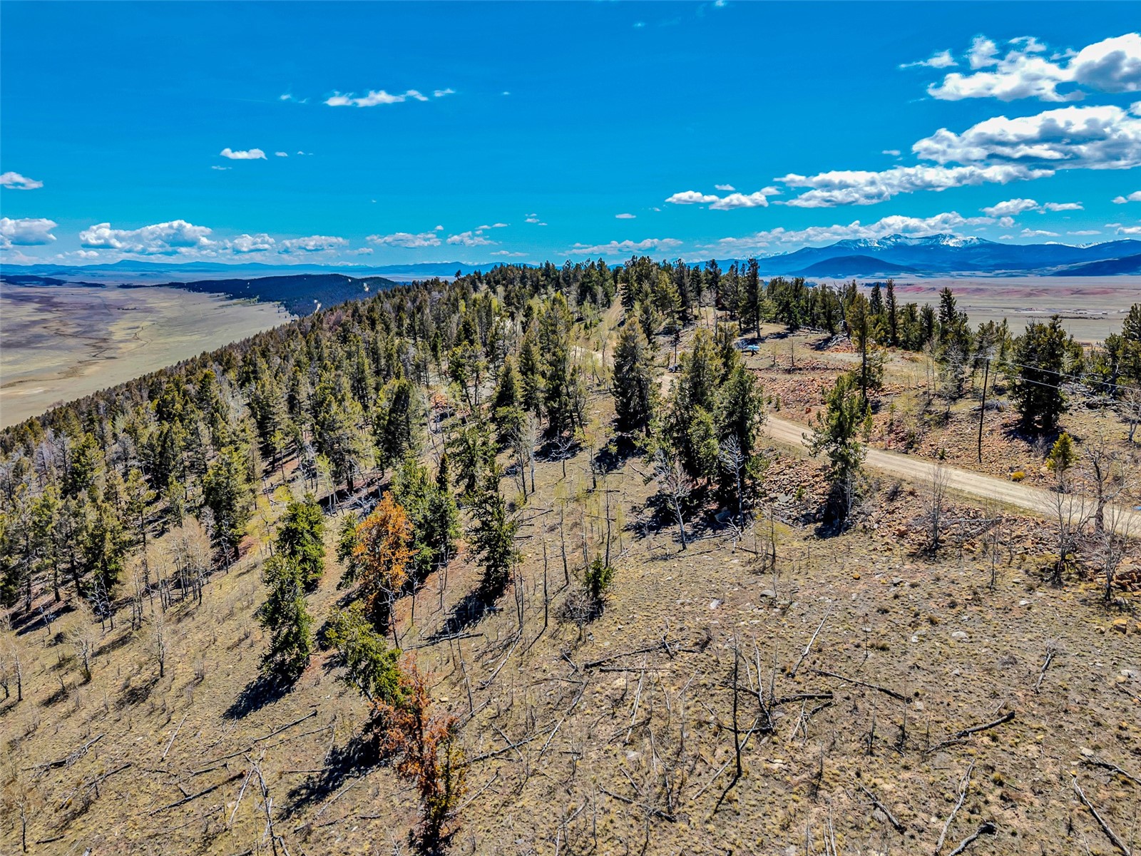 5544 Middle Fork Vista Property Photo 7