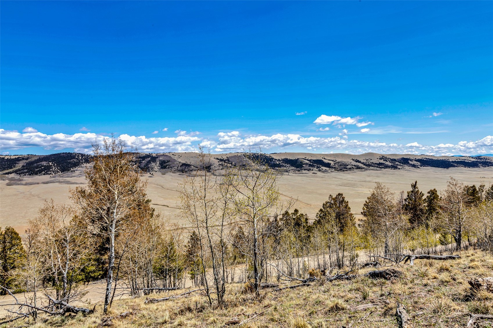 5544 Middle Fork Vista Property Photo 11