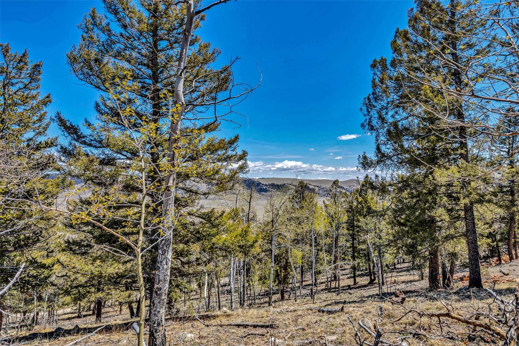 5544 Middle Fork Vista Property Photo 12
