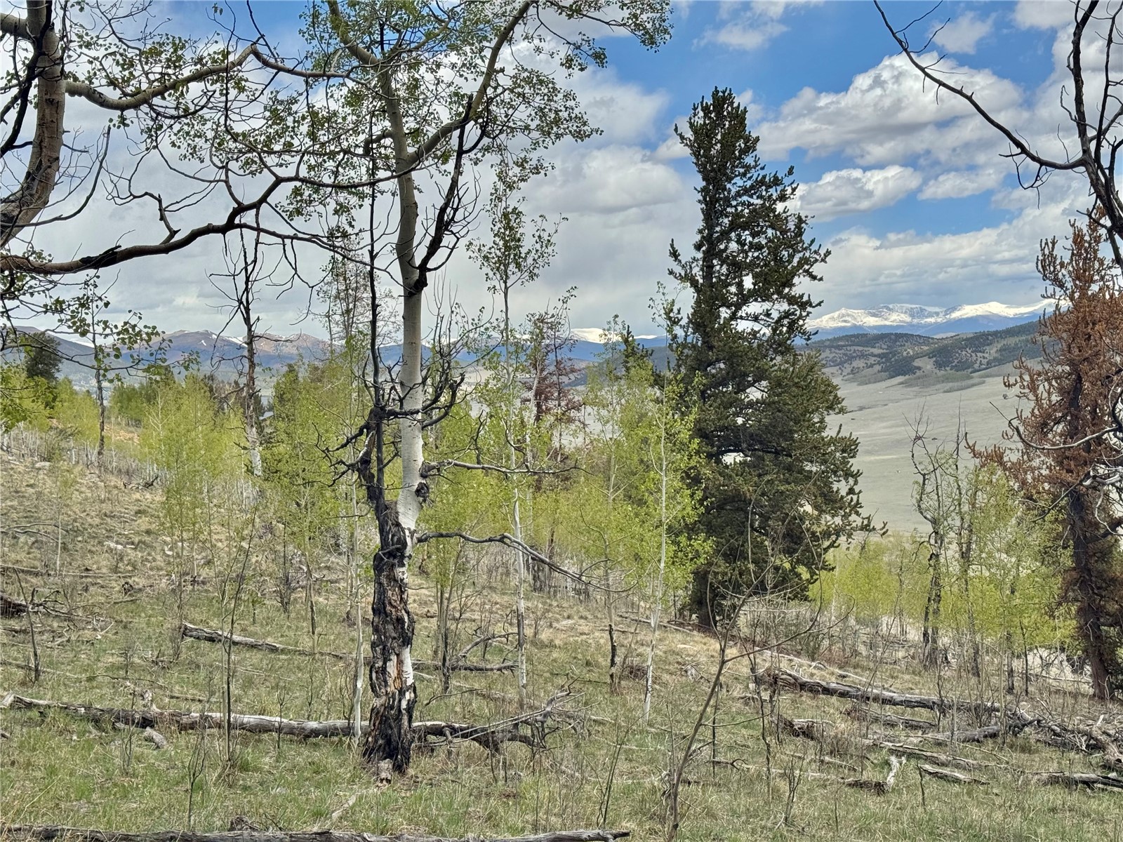 5544 Middle Fork Vista Property Photo 13