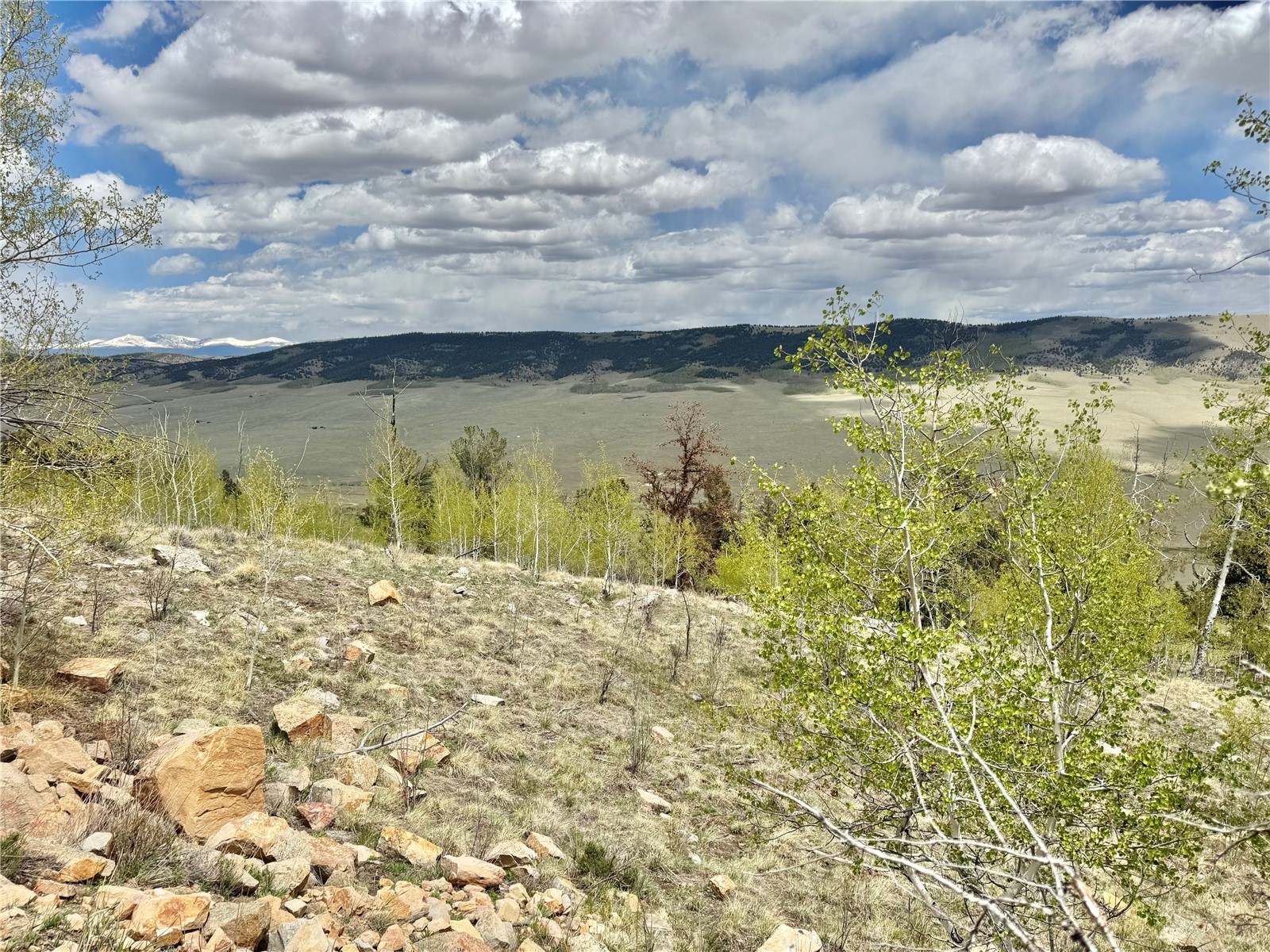 5544 Middle Fork Vista Property Photo 14