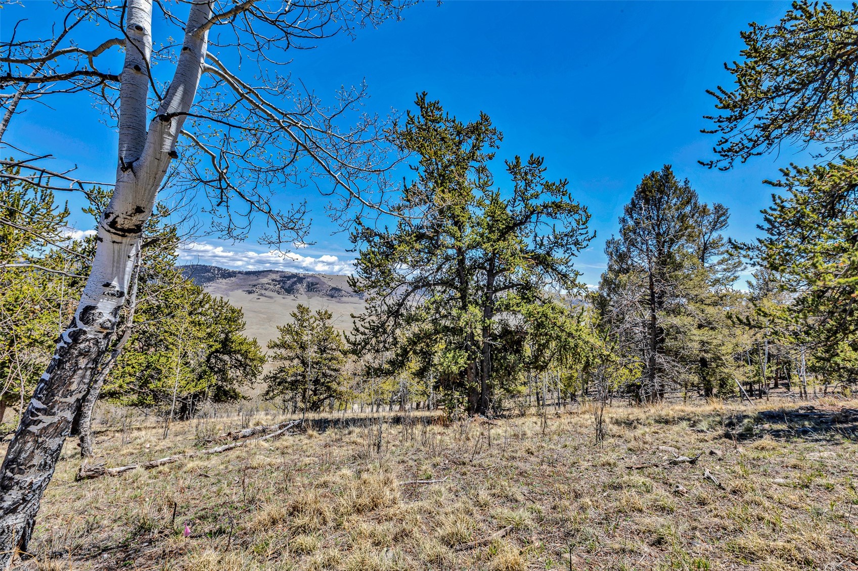5544 Middle Fork Vista Property Photo 16