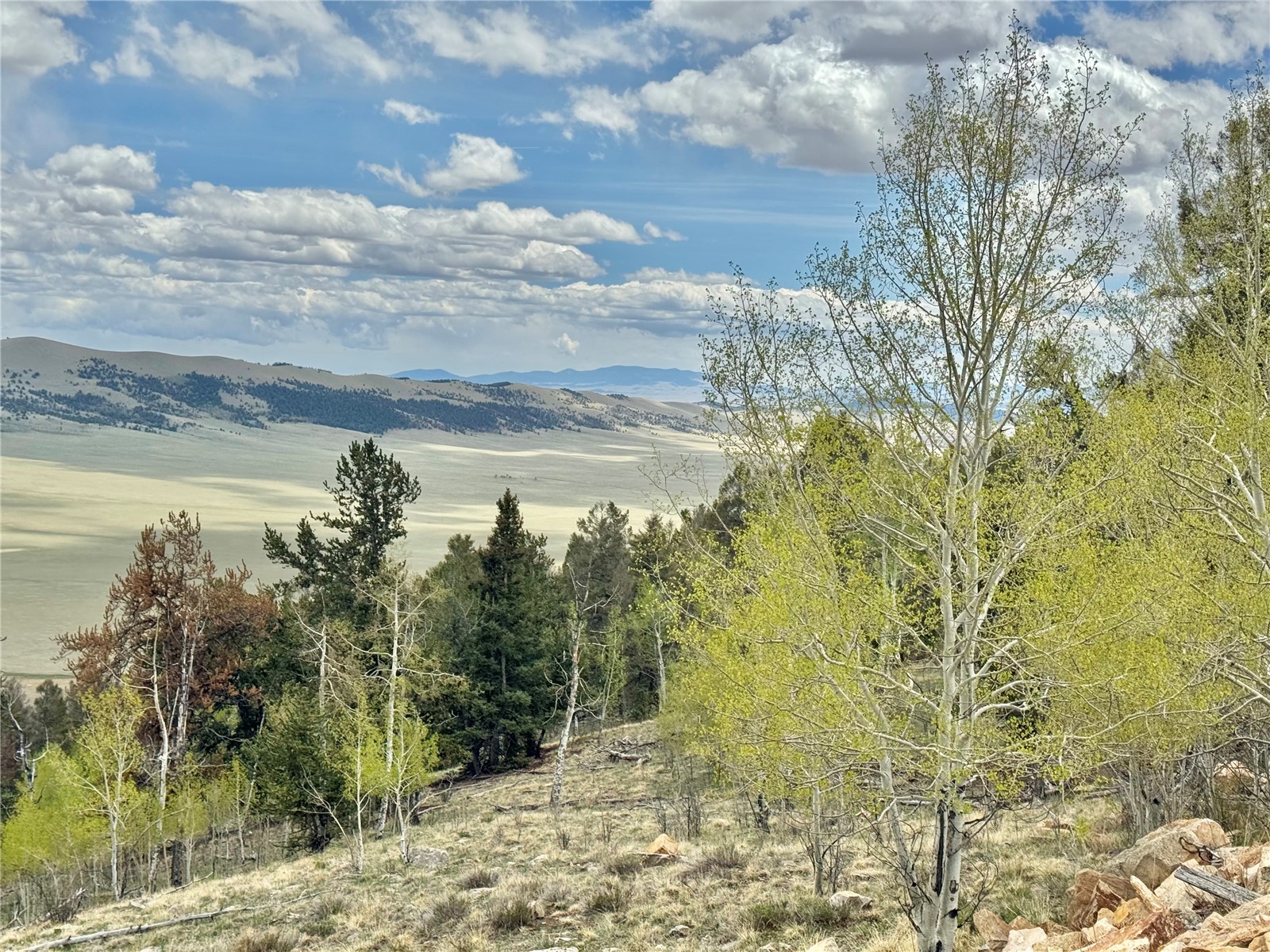 5544 Middle Fork Vista Property Photo 17