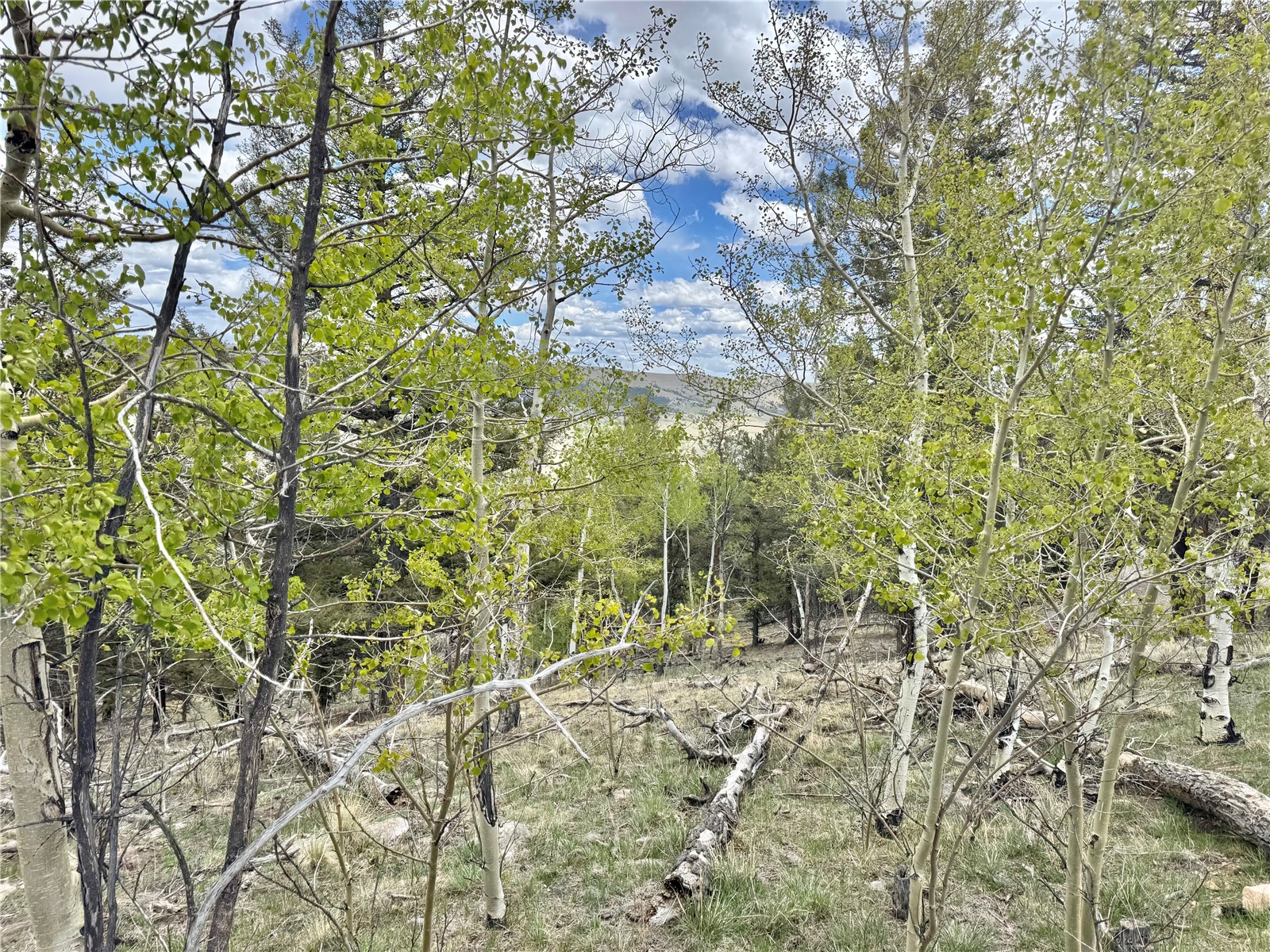 5544 Middle Fork Vista Property Photo 18