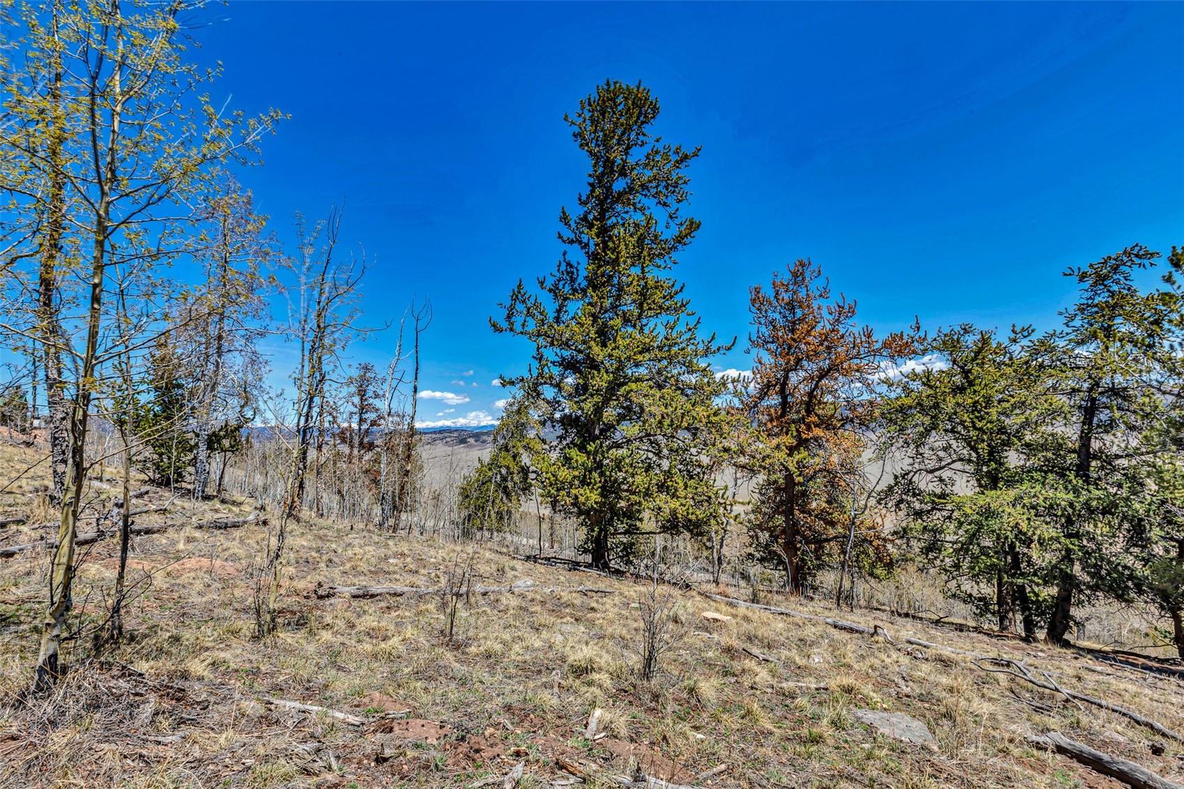 5544 Middle Fork Vista Property Photo 19