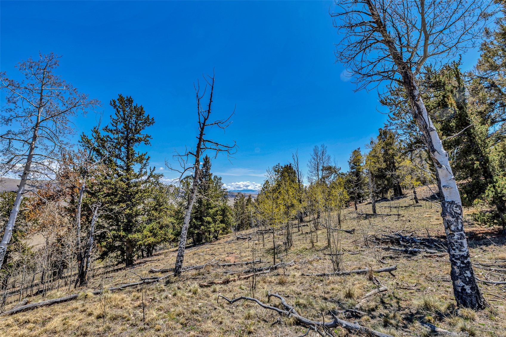5544 Middle Fork Vista Property Photo 20