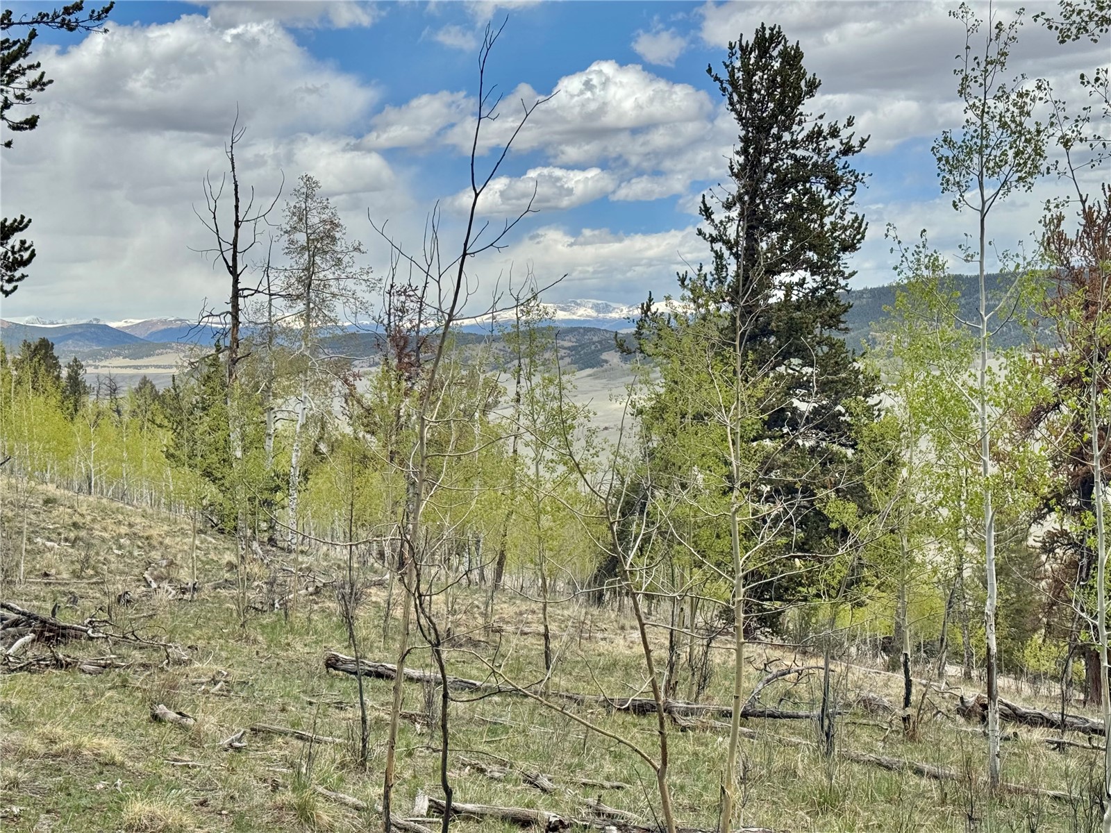 5544 Middle Fork Vista Property Photo 21