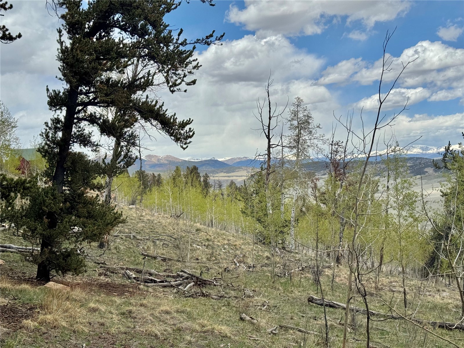 5544 Middle Fork Vista Property Photo 28