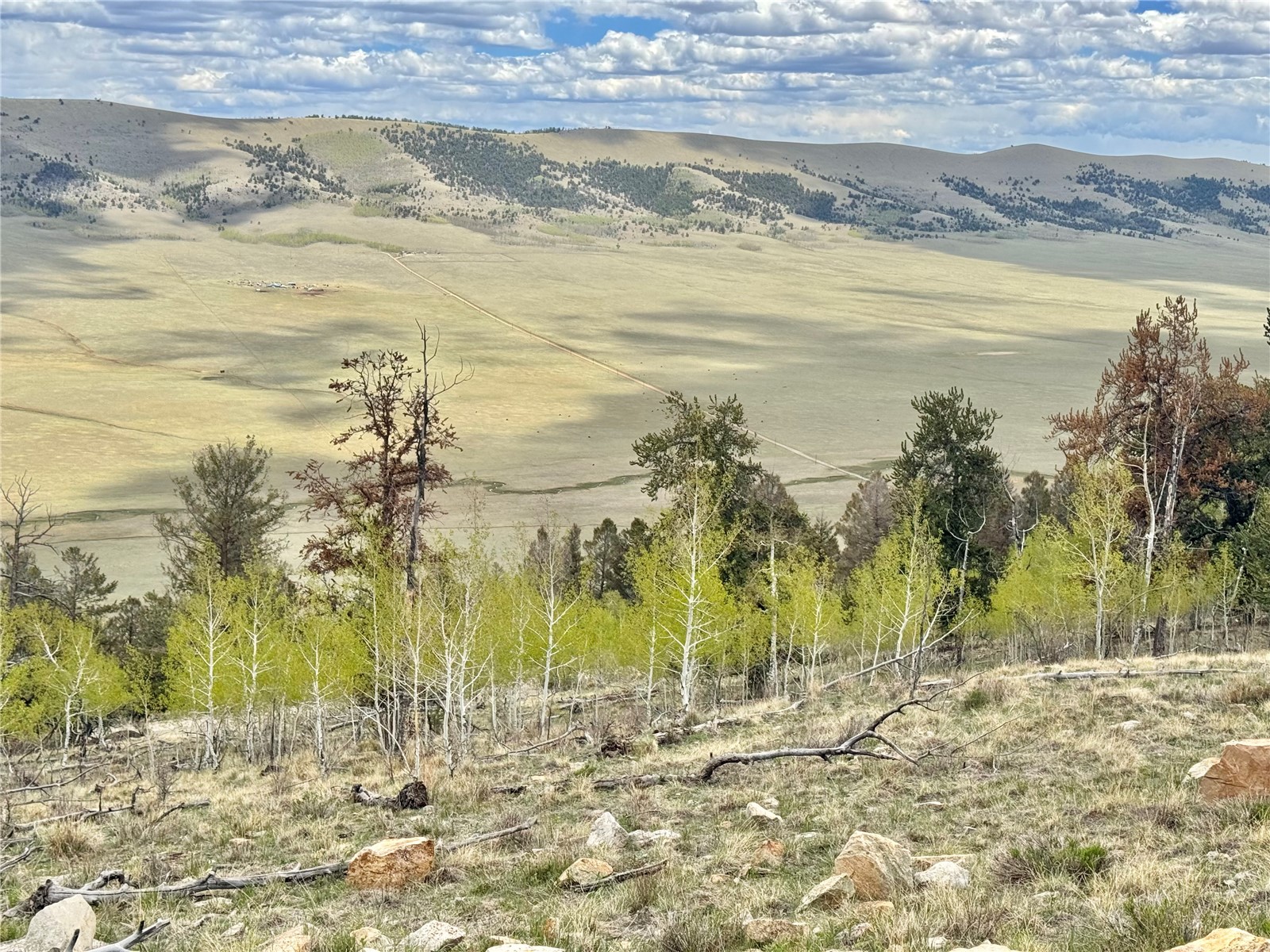 5544 Middle Fork Vista Property Photo 29