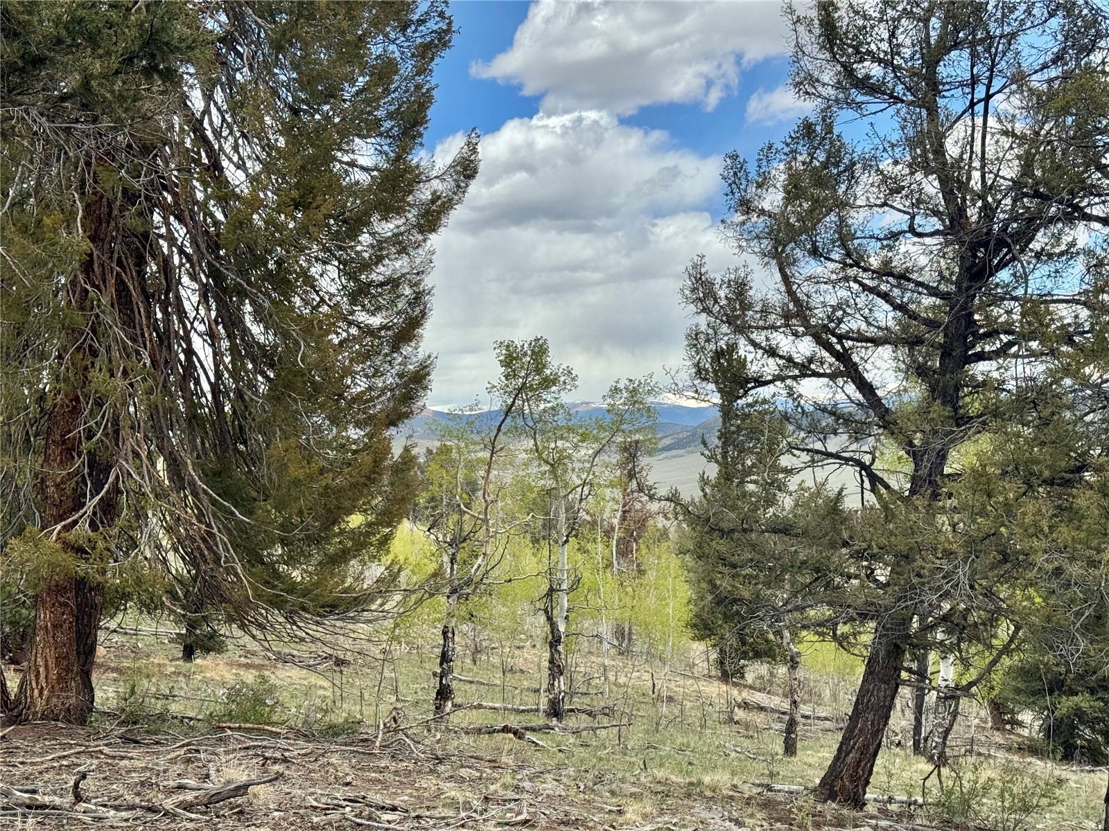 5544 Middle Fork Vista Property Photo 30