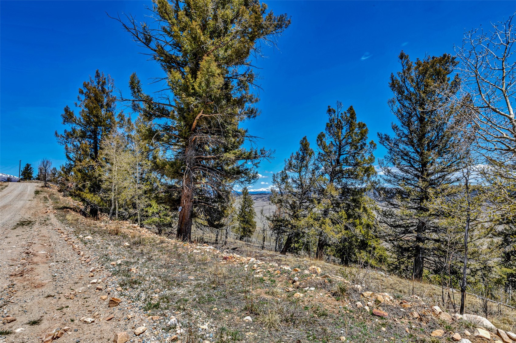 5544 Middle Fork Vista Property Photo 31