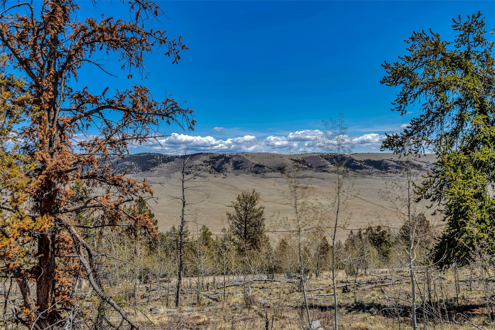 5544 Middle Fork Vista Property Photo 32