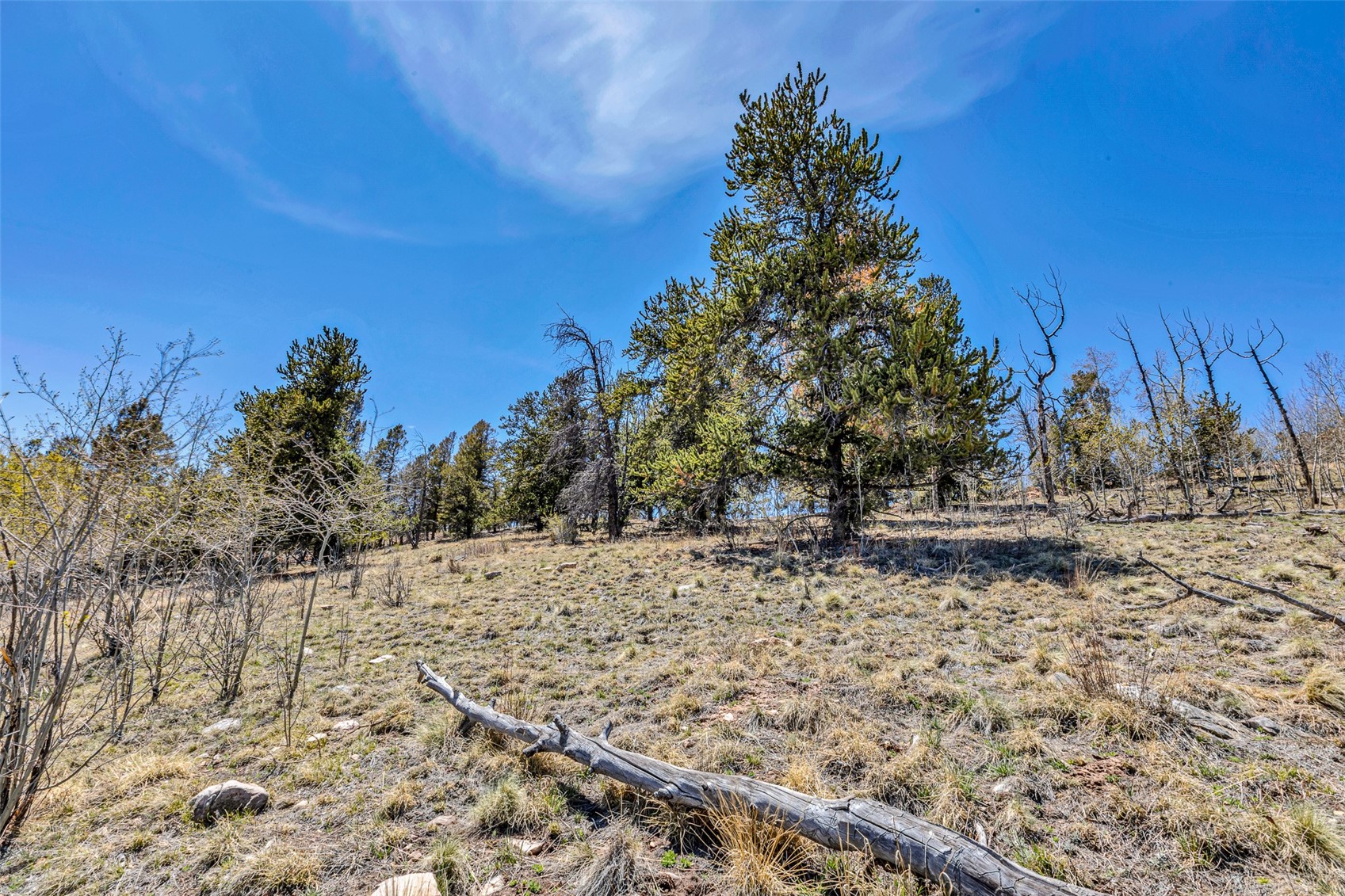 5544 Middle Fork Vista Property Photo 33