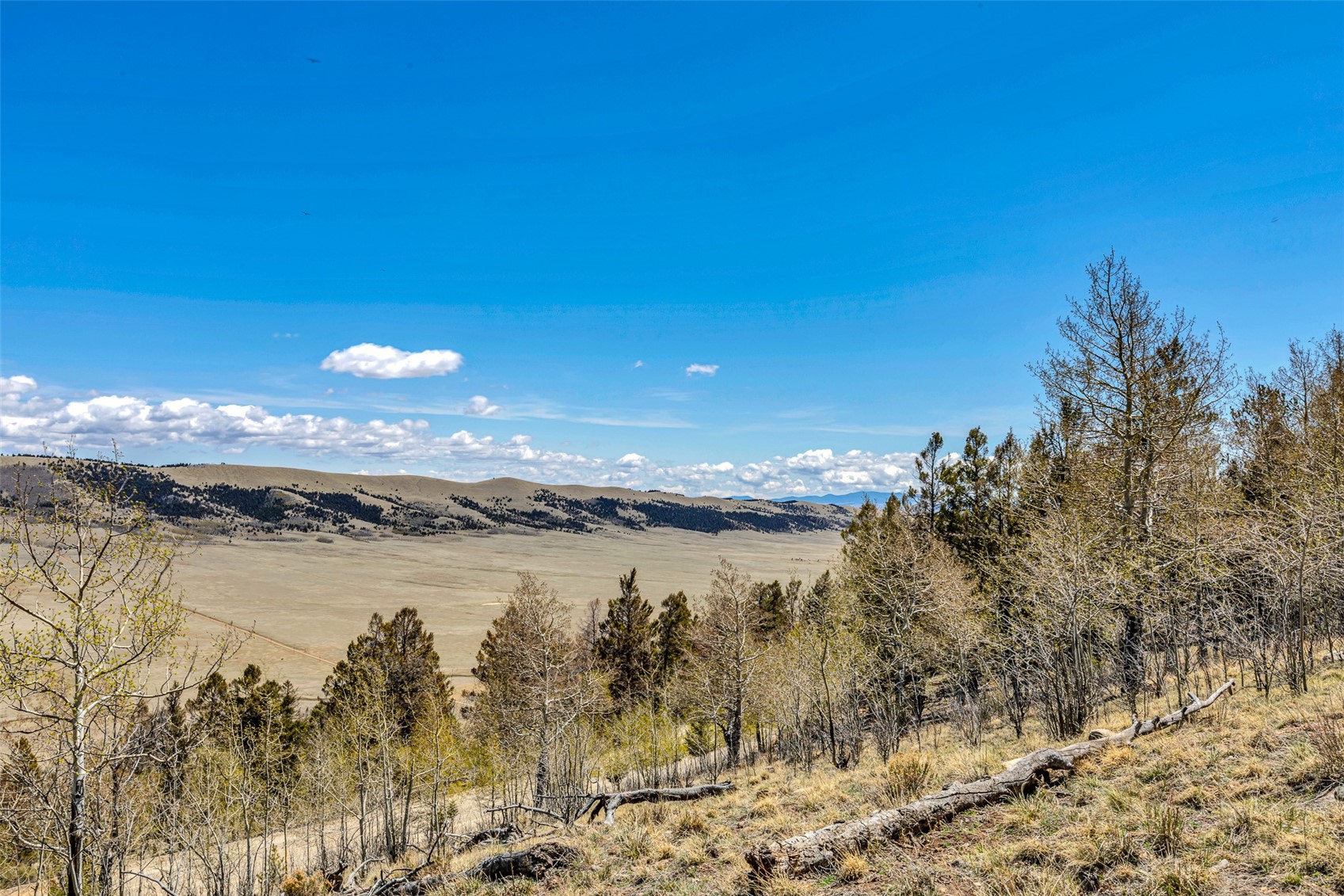 5544 Middle Fork Vista Property Photo 34