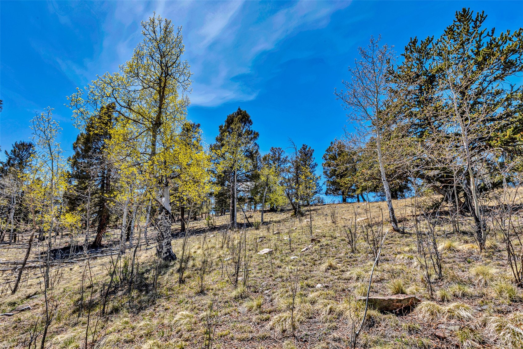 5544 Middle Fork Vista Property Photo 35
