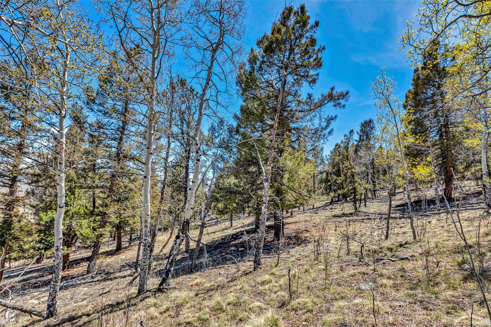 5544 Middle Fork Vista Property Photo 36