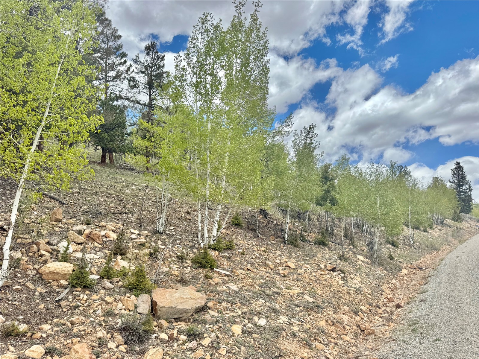 5544 Middle Fork Vista Property Photo 37