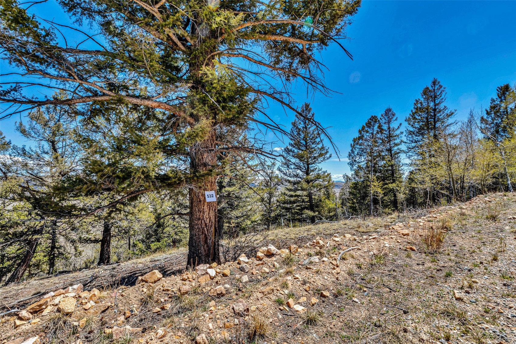5544 Middle Fork Vista Property Photo 40