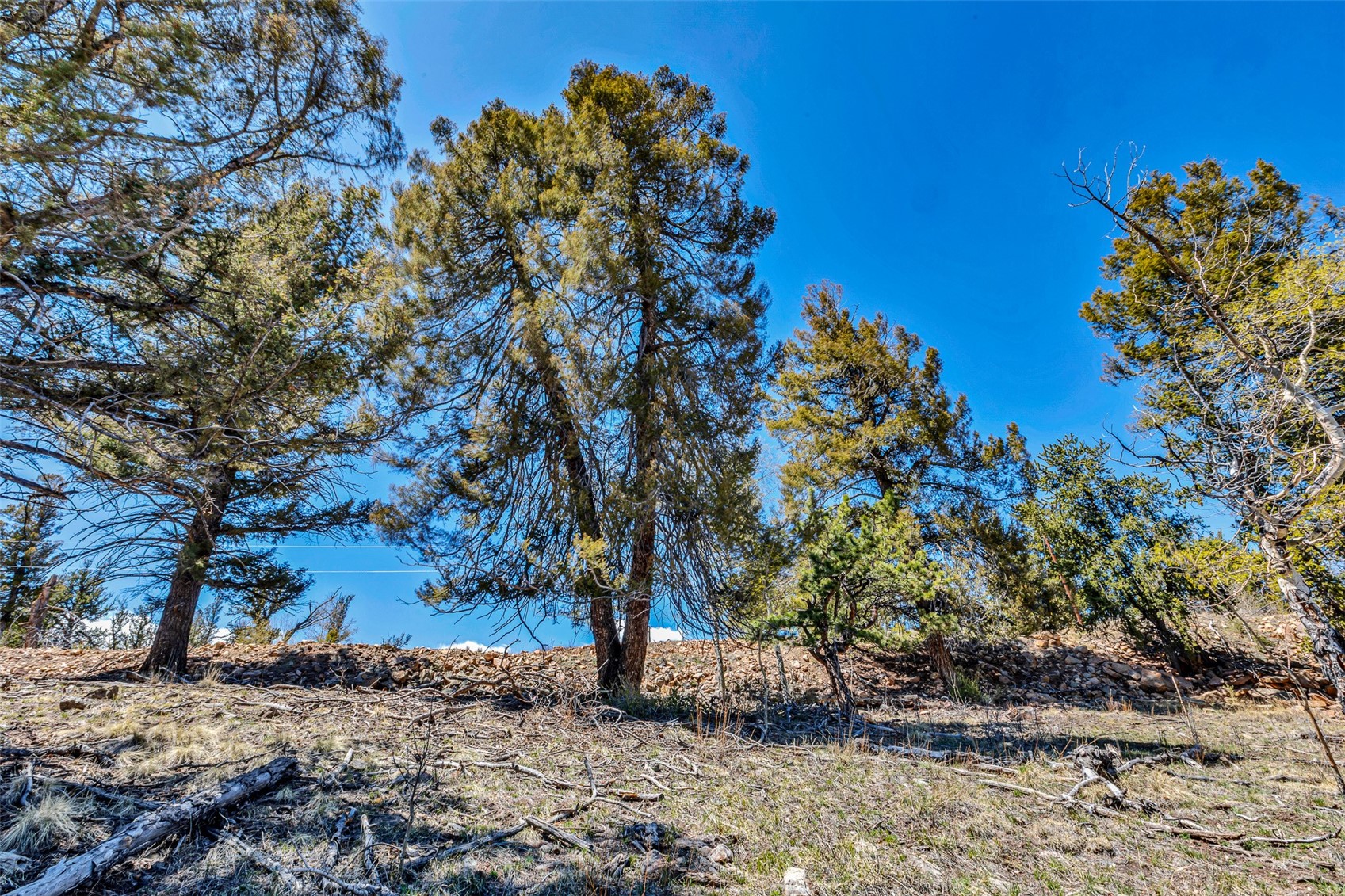 5544 Middle Fork Vista Property Photo 41