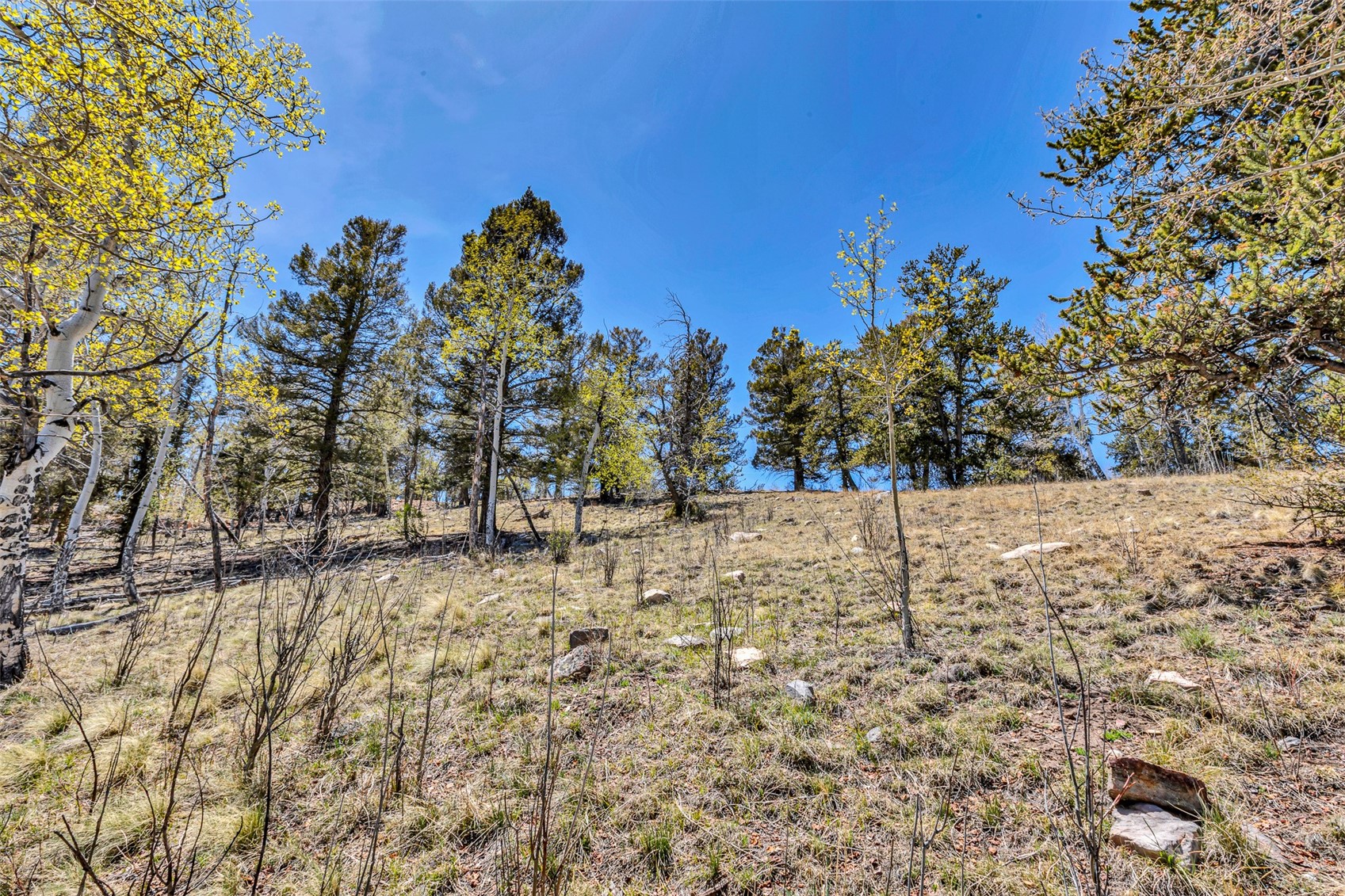 5544 Middle Fork Vista Property Photo 44