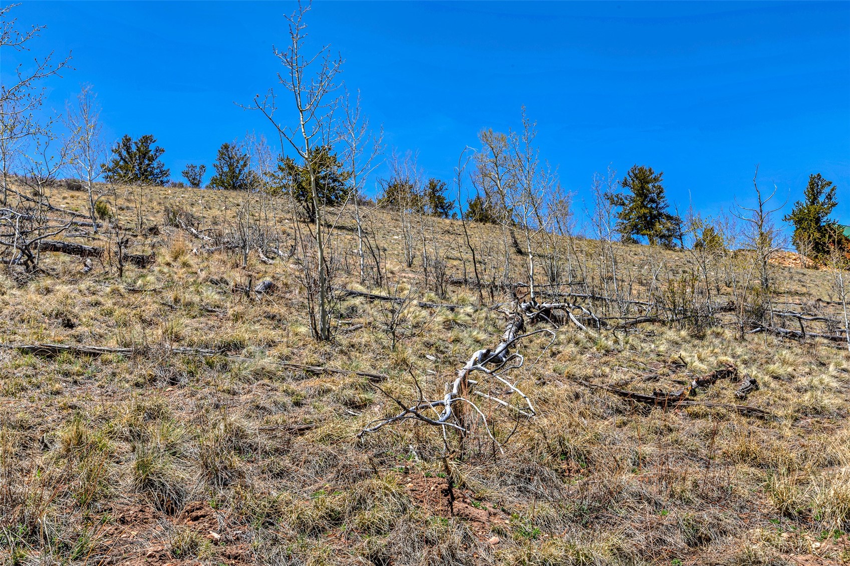 5544 Middle Fork Vista Property Photo 45