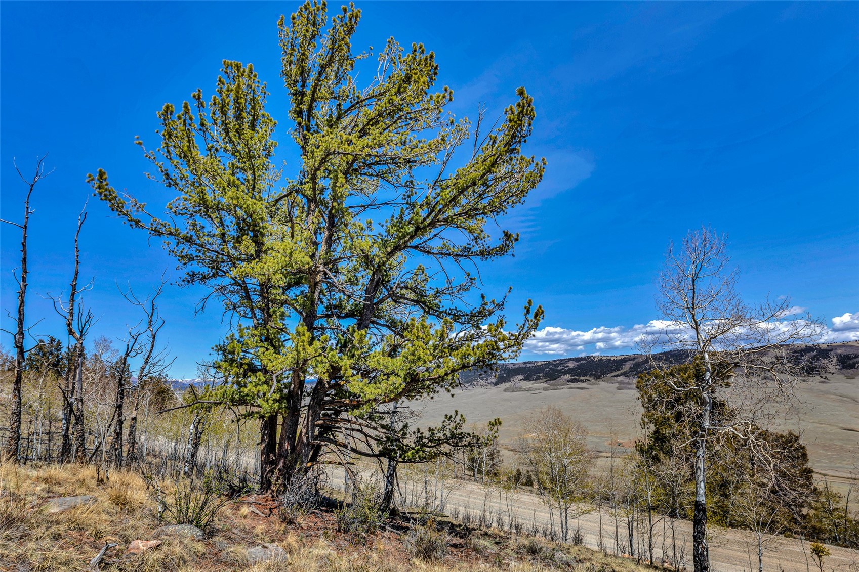5544 Middle Fork Vista Property Photo 46