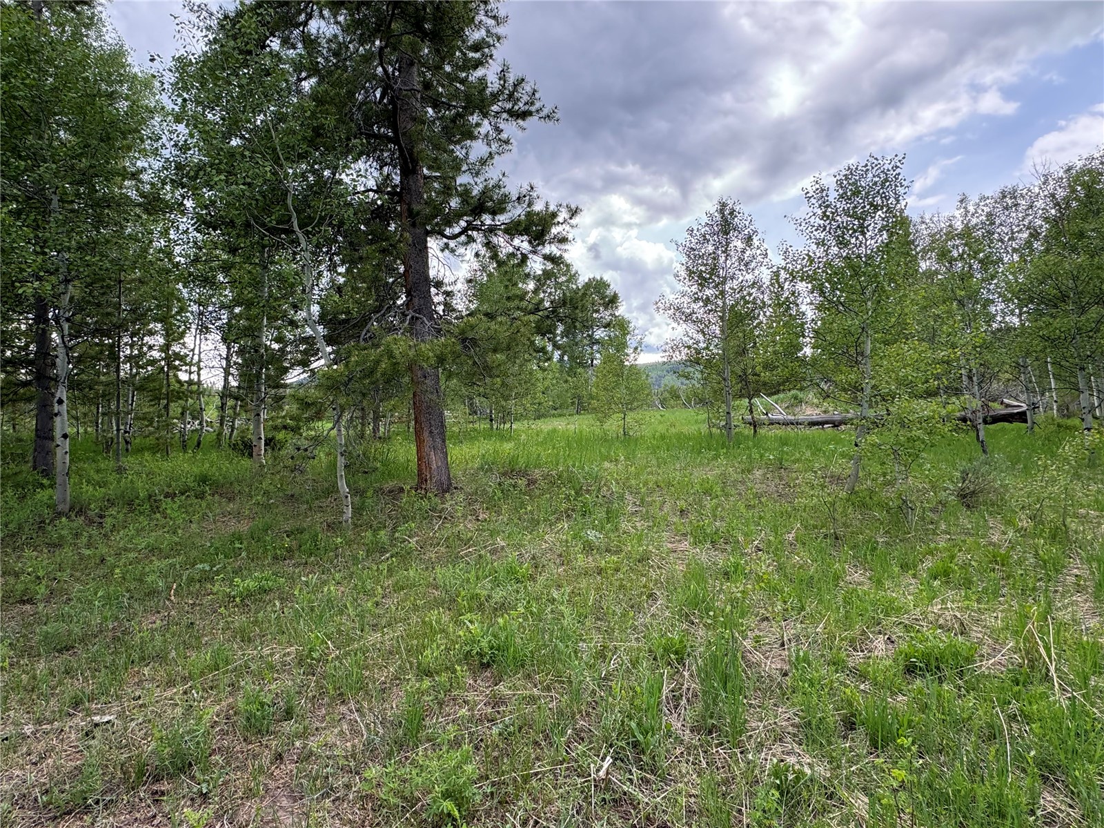 21095 Stampede Way Property Photo 1