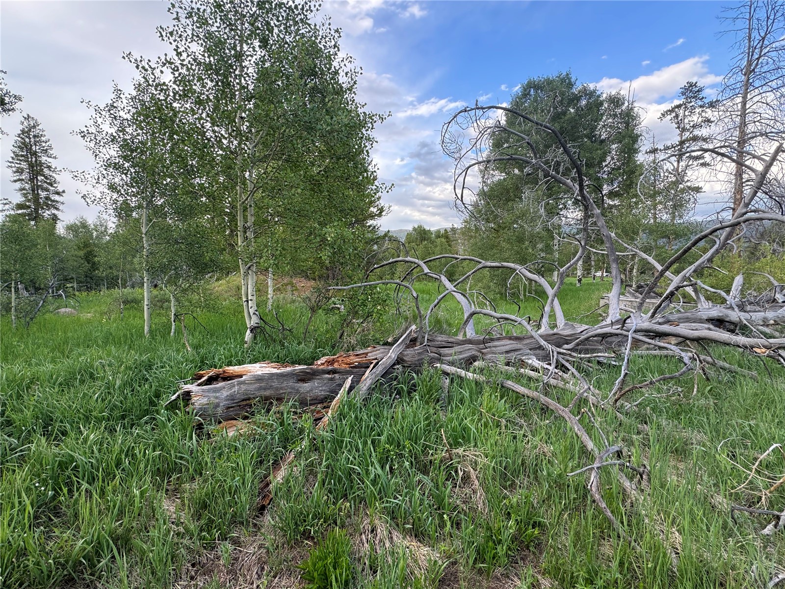 21095 Stampede Way Property Photo 2