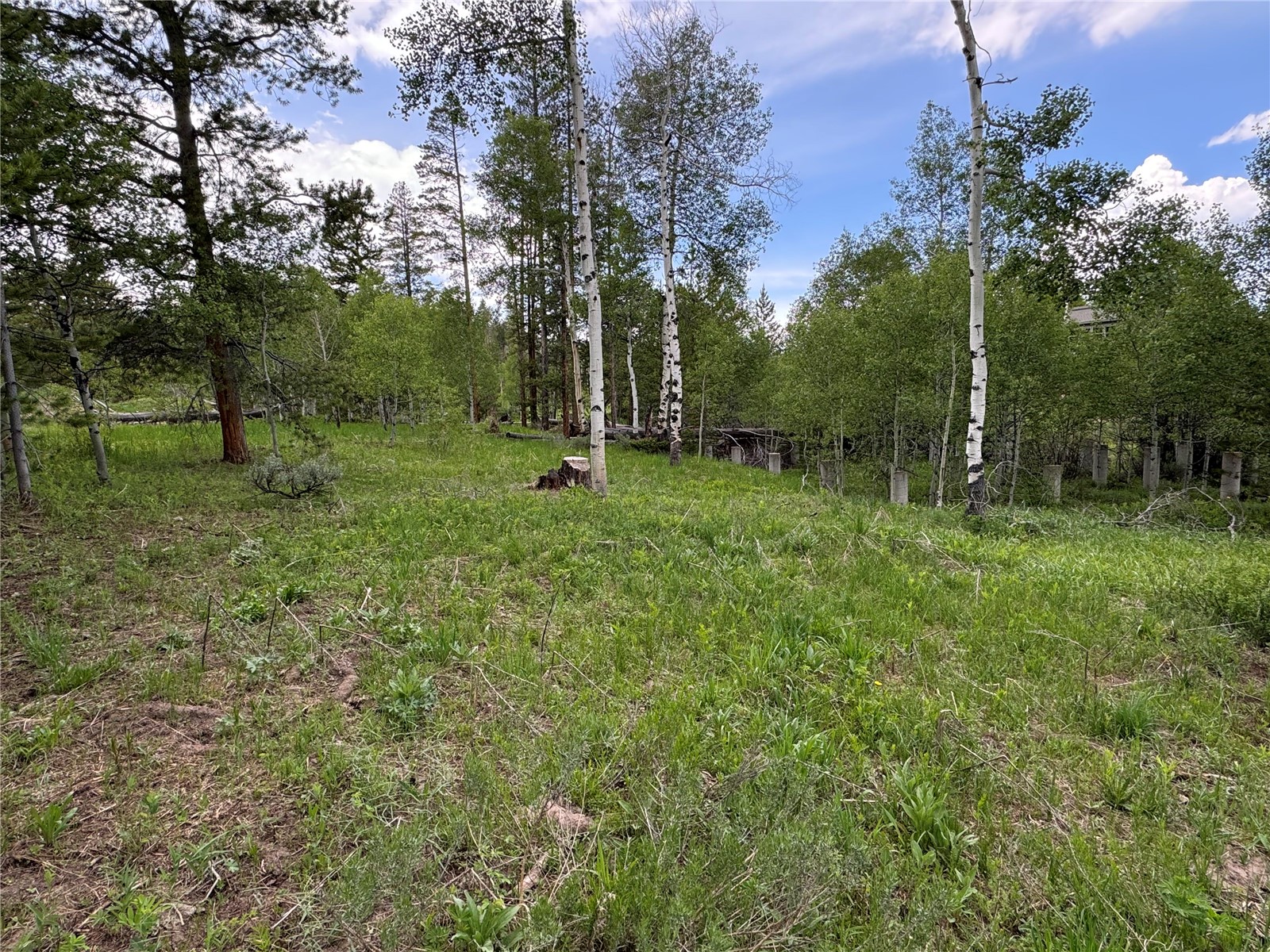 21095 Stampede Way Property Photo 3
