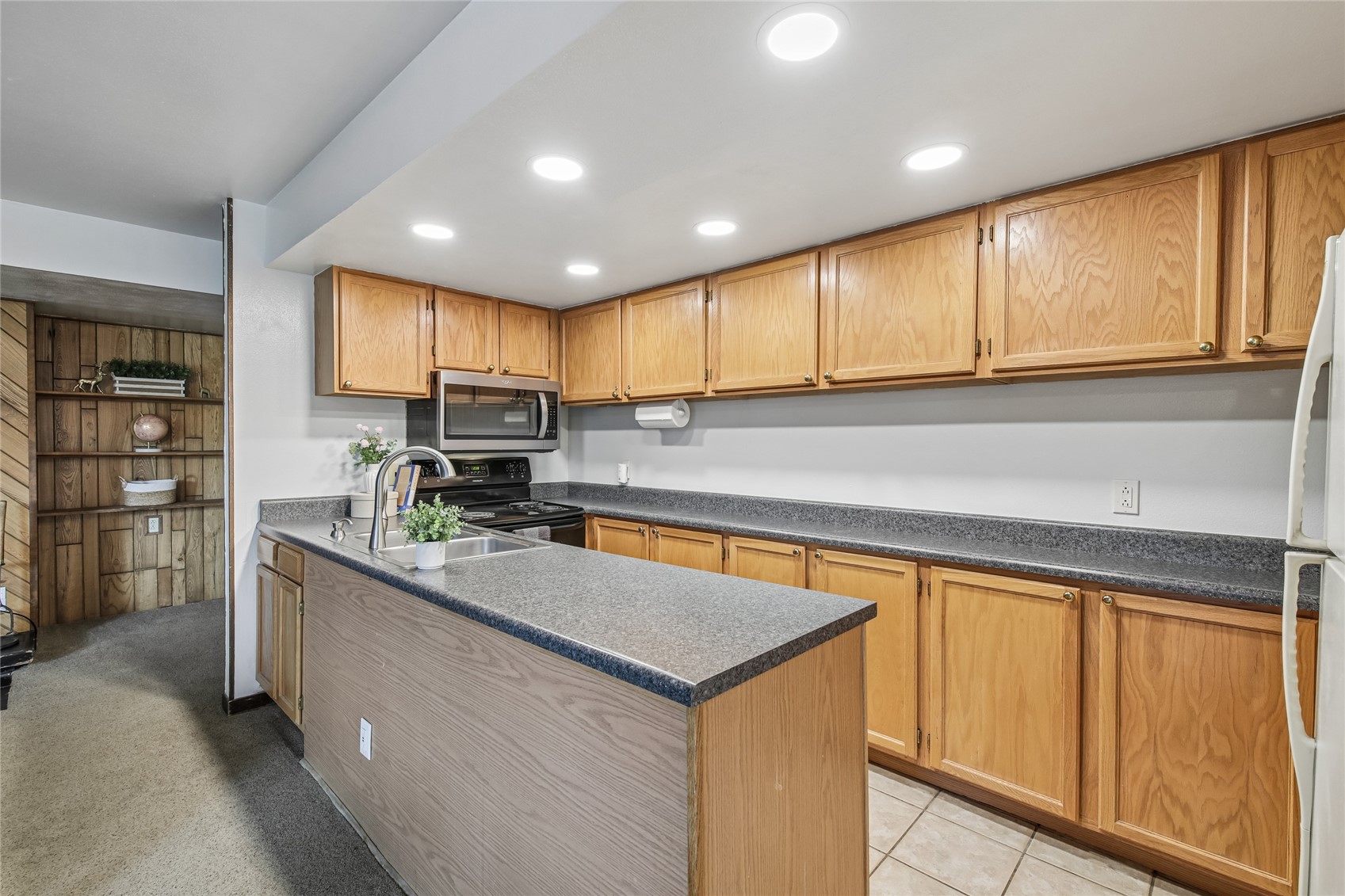 423 Wild Irishman Road 1008 + 1009 Property Photo 11
