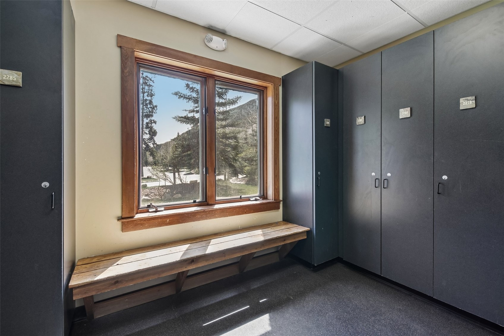 20 Hunki Dori Court 2284 Property Photo 17