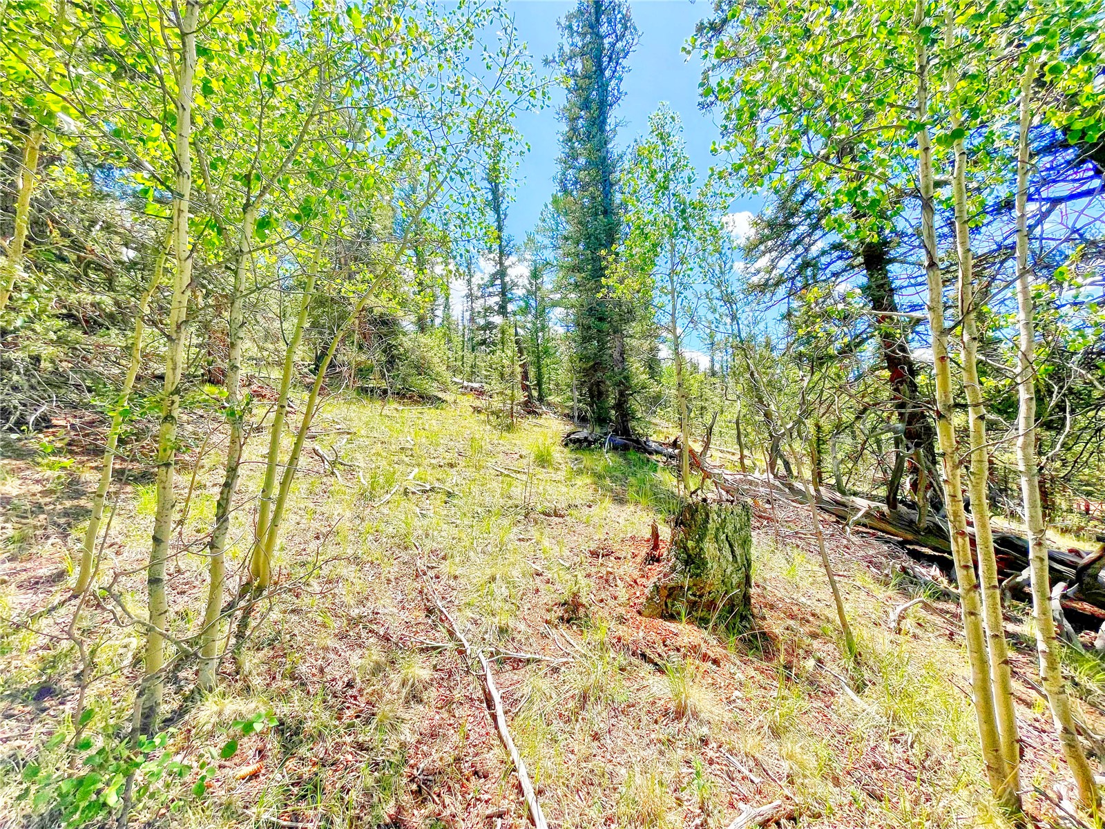 224 Apache Trail Property Photo 14