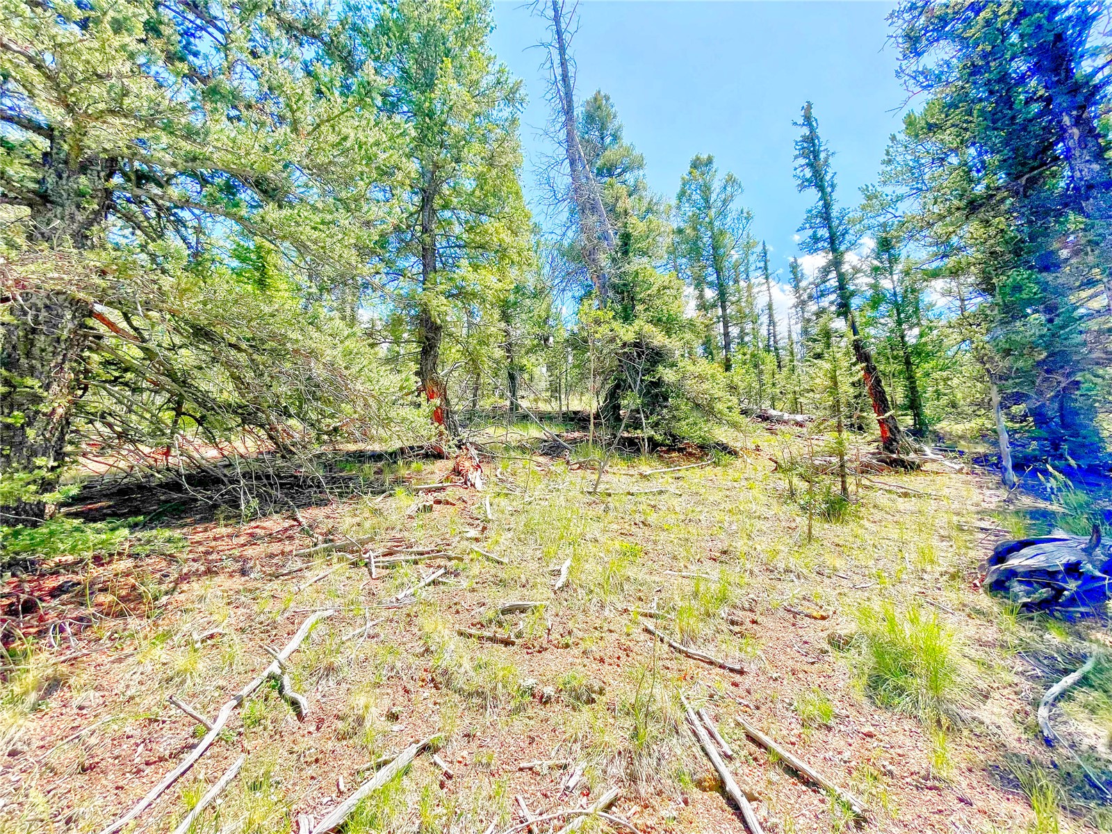224 Apache Trail Property Photo 15