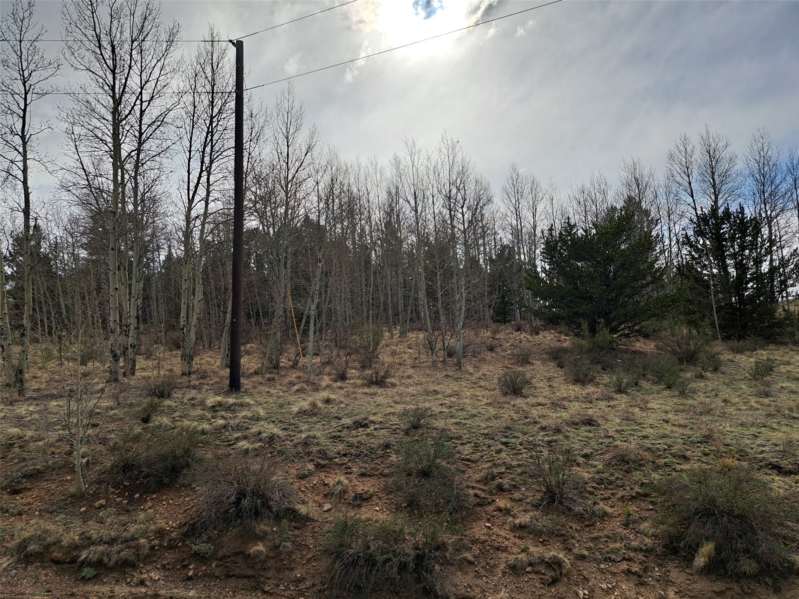 1411 Travois Road Property Photo