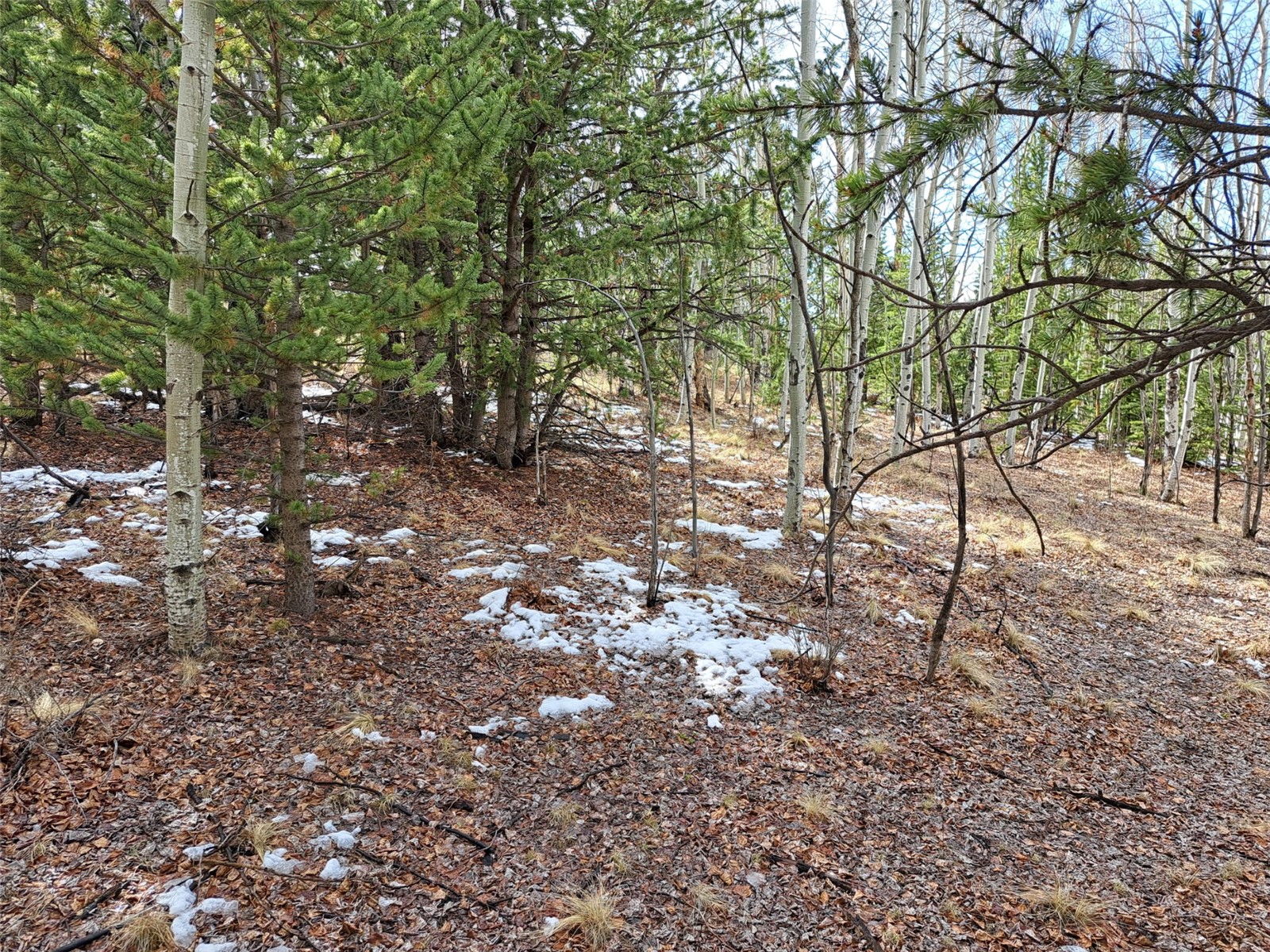 1411 Travois Road Property Photo 3
