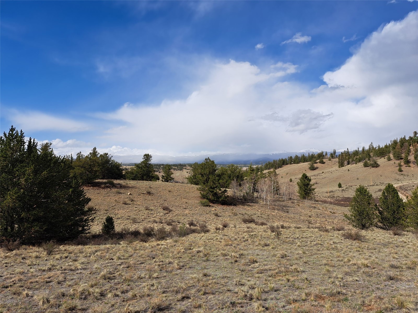 1411 Travois Road Property Photo 4