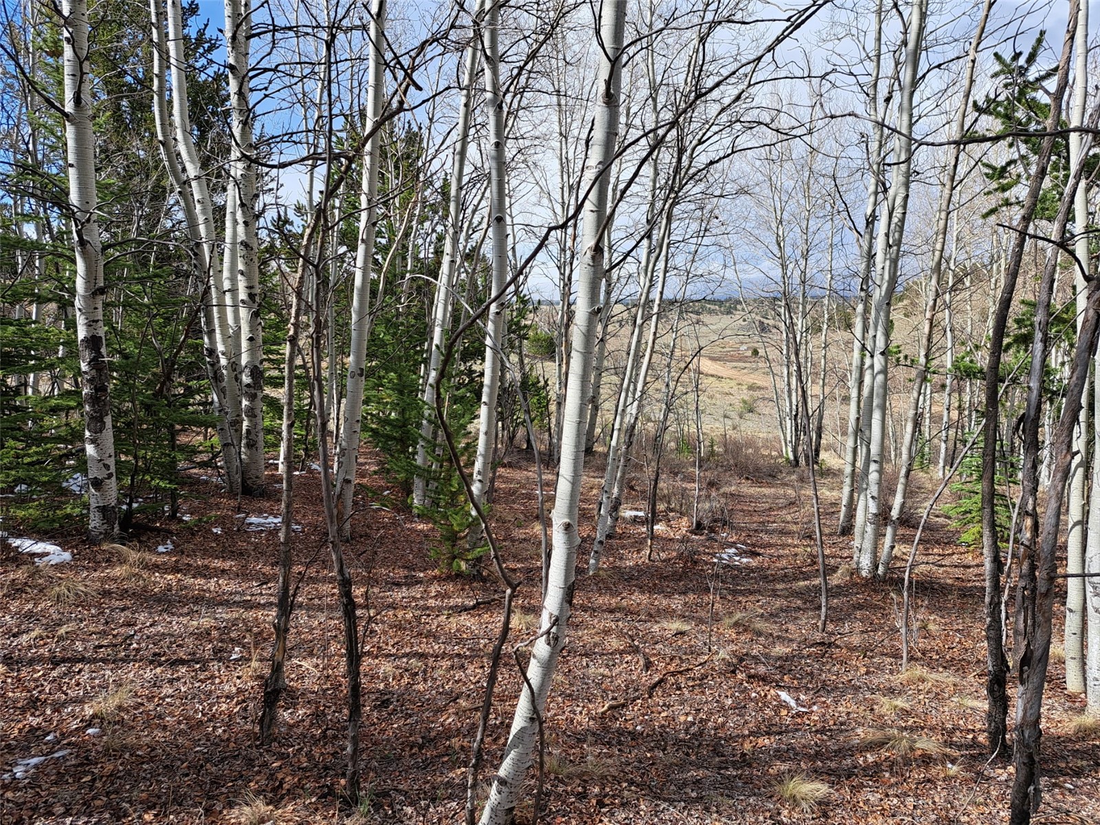 1411 Travois Road Property Photo 8