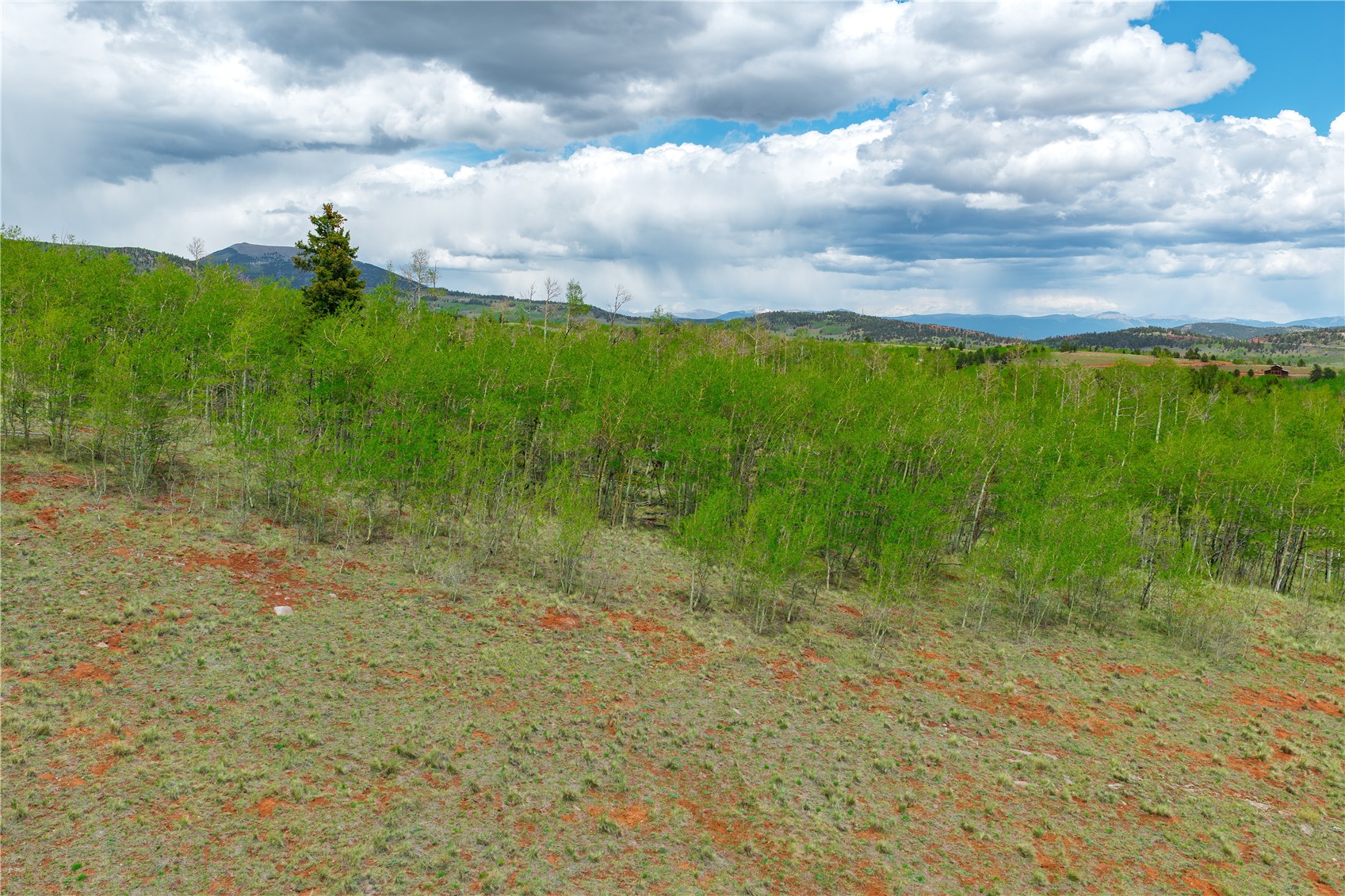 562 Palmer Peak Drive Property Photo 11