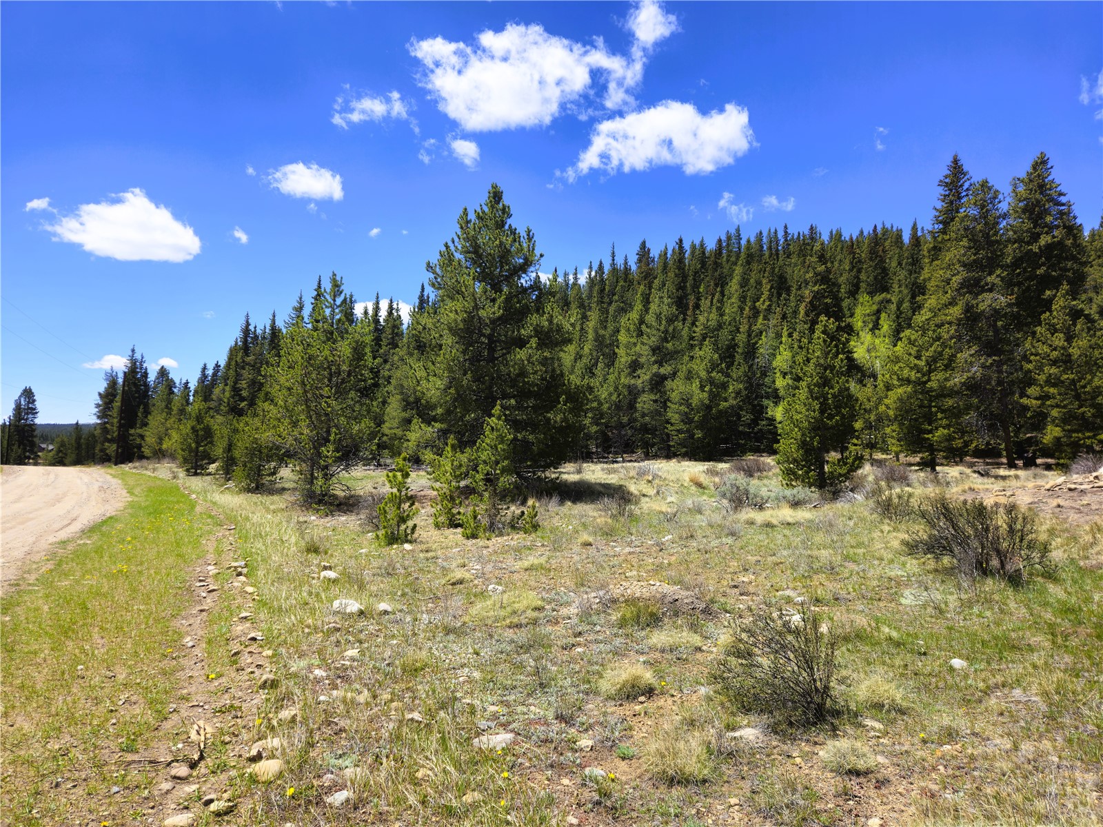 Pcs#10594 Looney Lane Property Photo 4