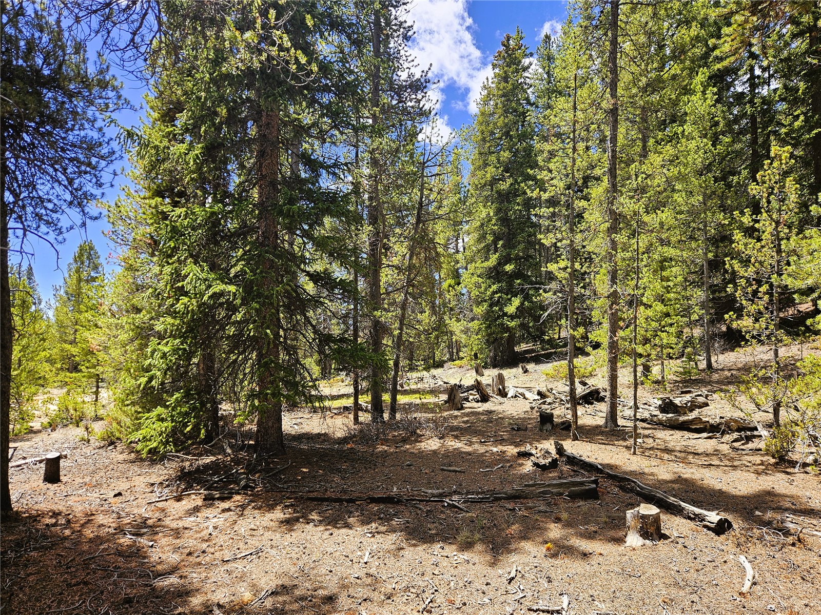 Pcs#10594 Looney Lane Property Photo 11