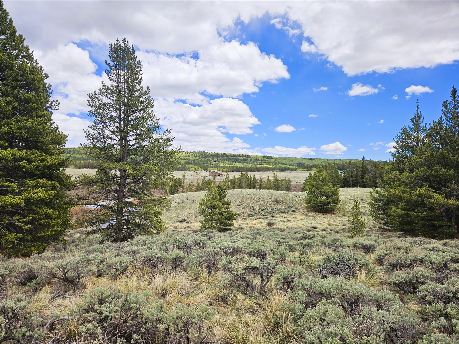 700 Looney Lane Property Photo 11
