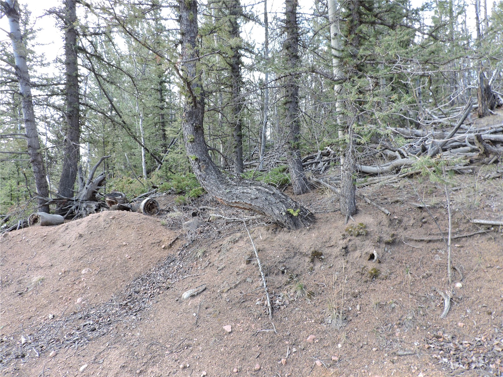 258 Old Squaw Road Property Photo