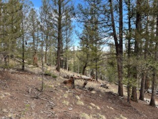 258 Old Squaw Road Property Photo 9